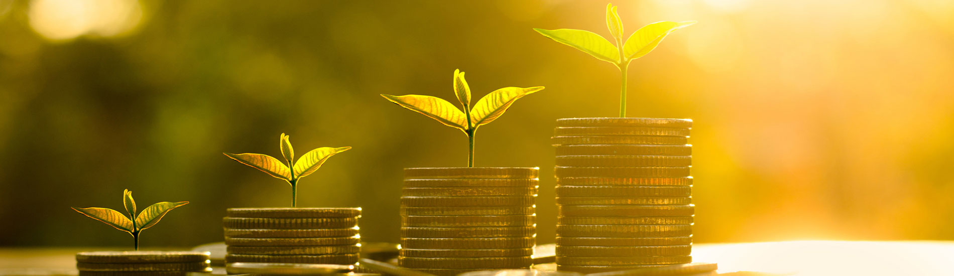 small plants growing out of stacks of coins