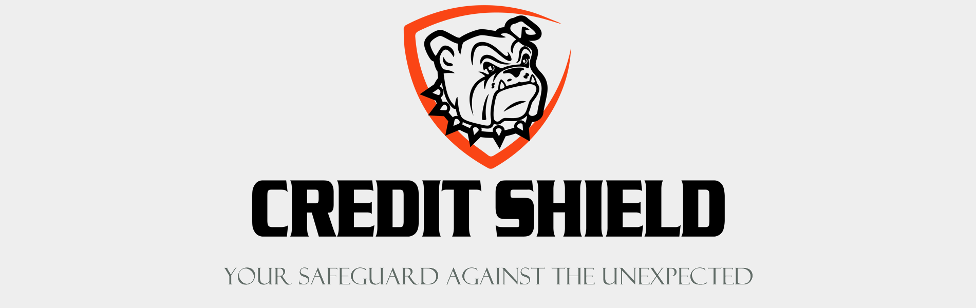 credit shield, your safeguard against the unexpected