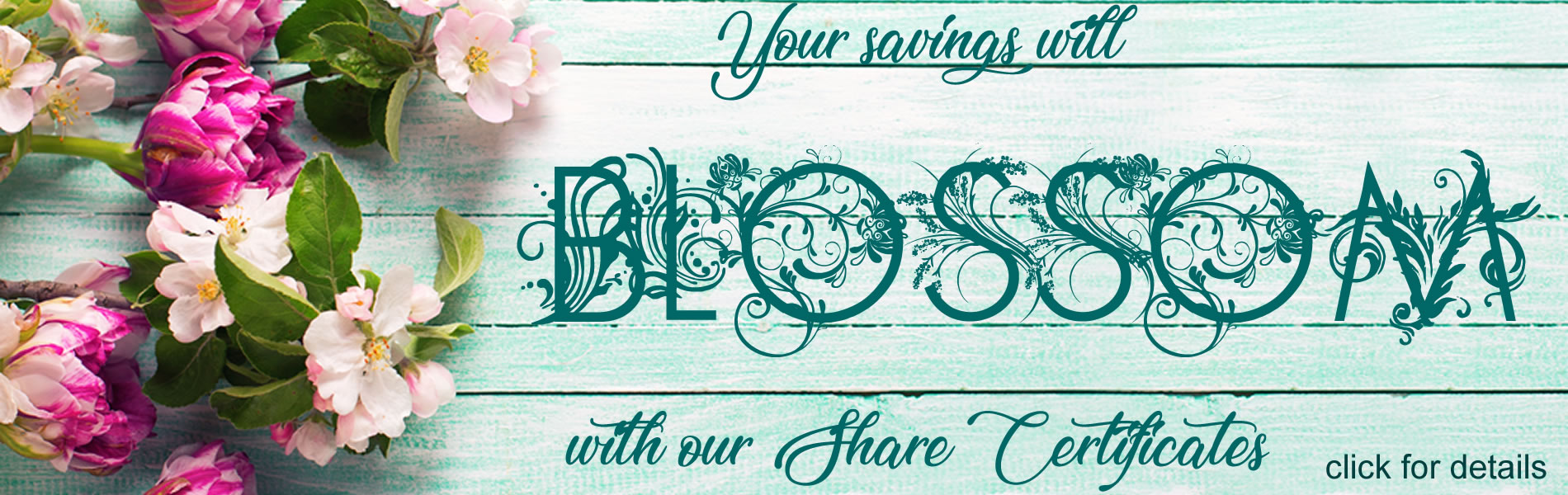 Your savings will blossom with our Share Certificates.  Click for details